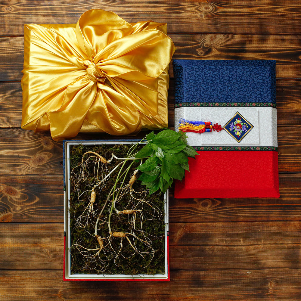 1768463442 thumbnail