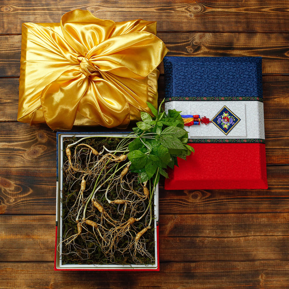 1768463445 thumbnail