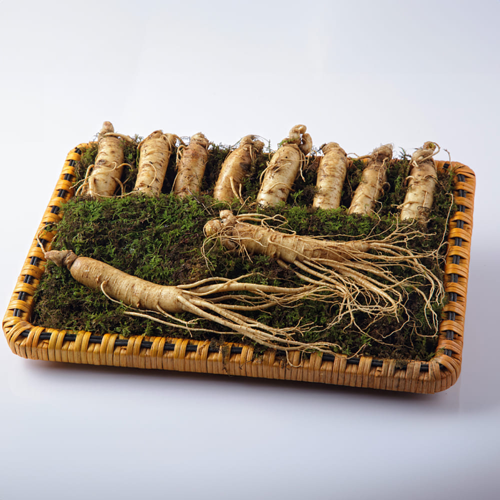 1768463446 thumbnail