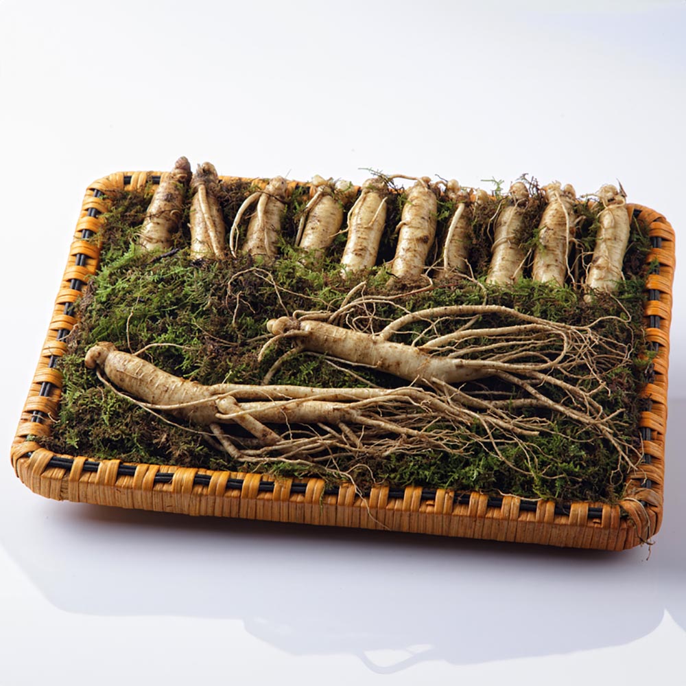 1768463447 thumbnail