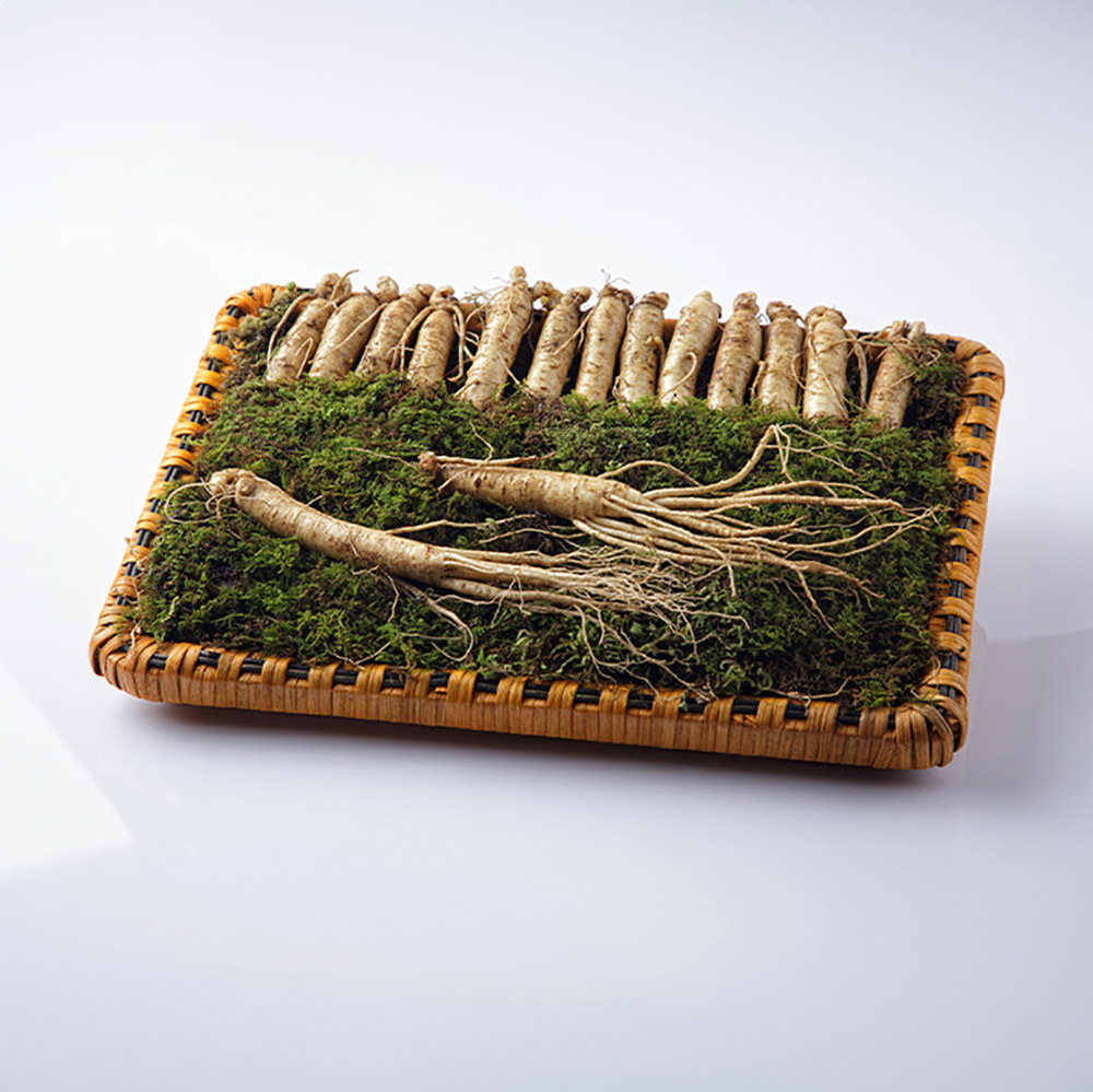 1768463448 thumbnail