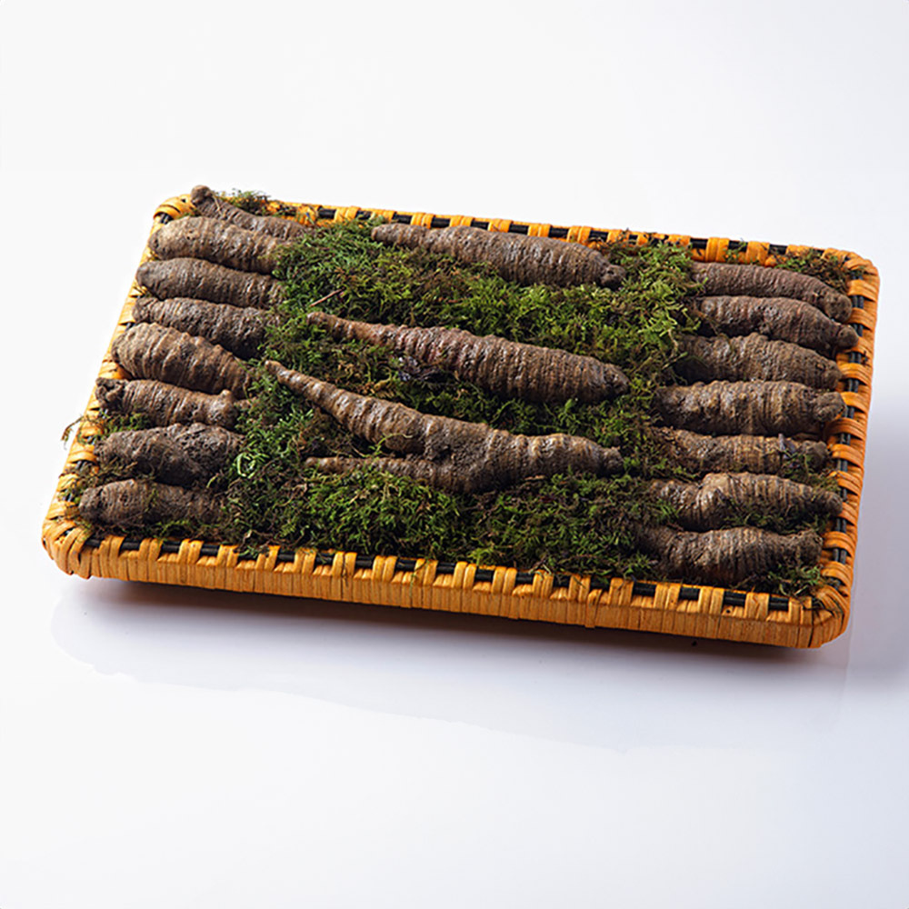 1768463449 thumbnail