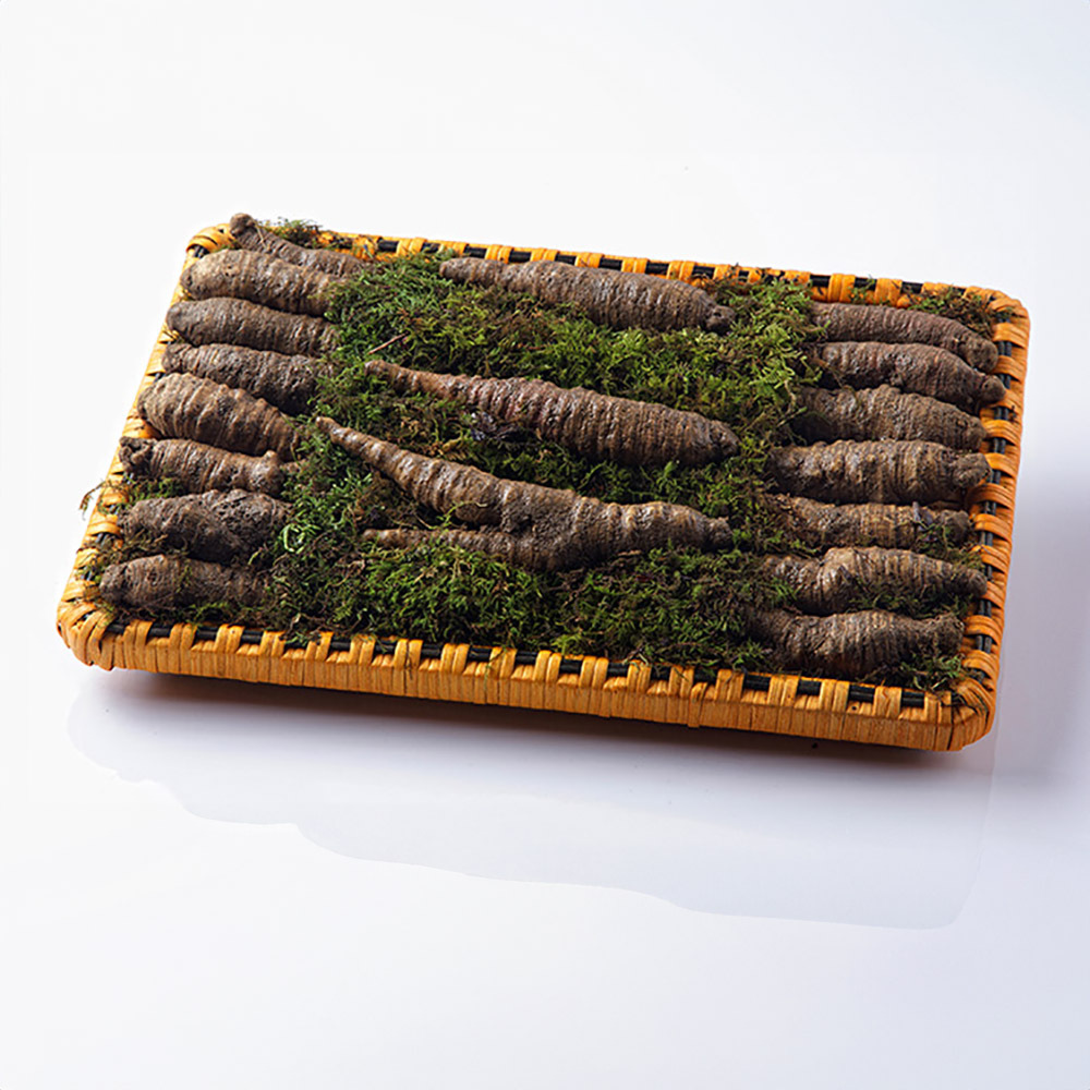 1768463450 thumbnail