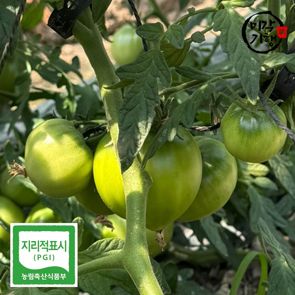 1768804113 thumbnail