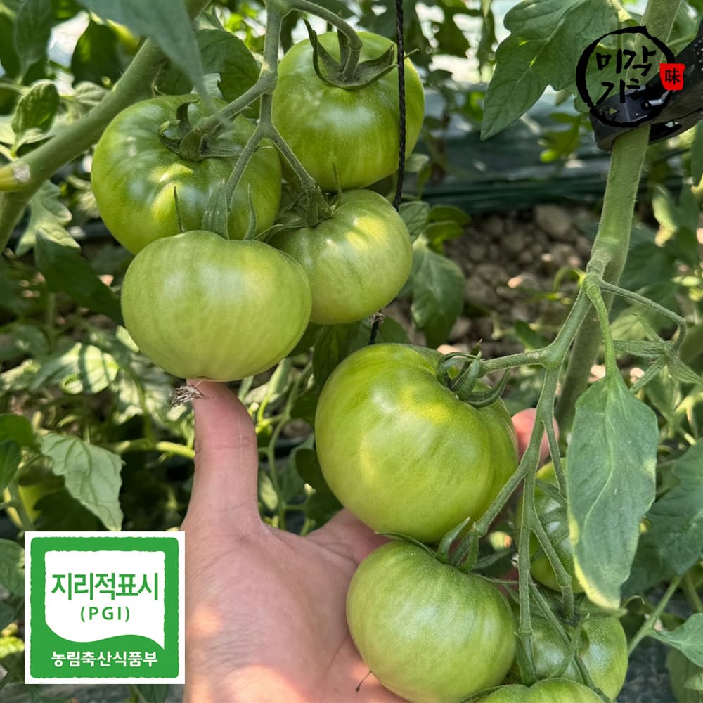 1768804114 thumbnail