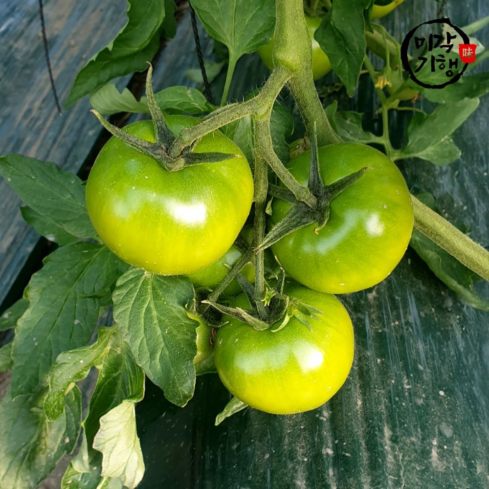 1768804115 thumbnail