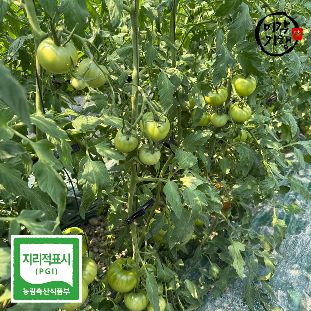 1768804116 thumbnail