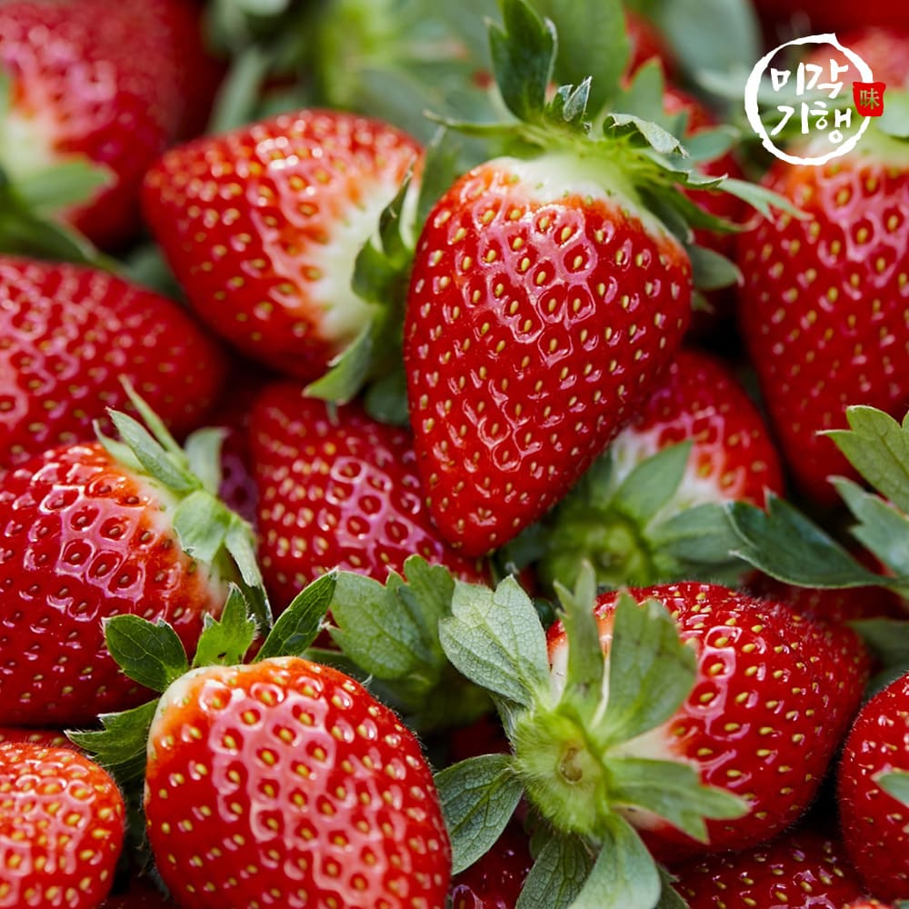 1768804121 thumbnail