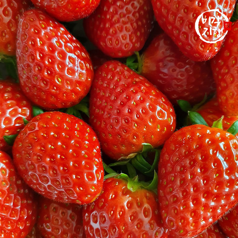 1768804122 thumbnail