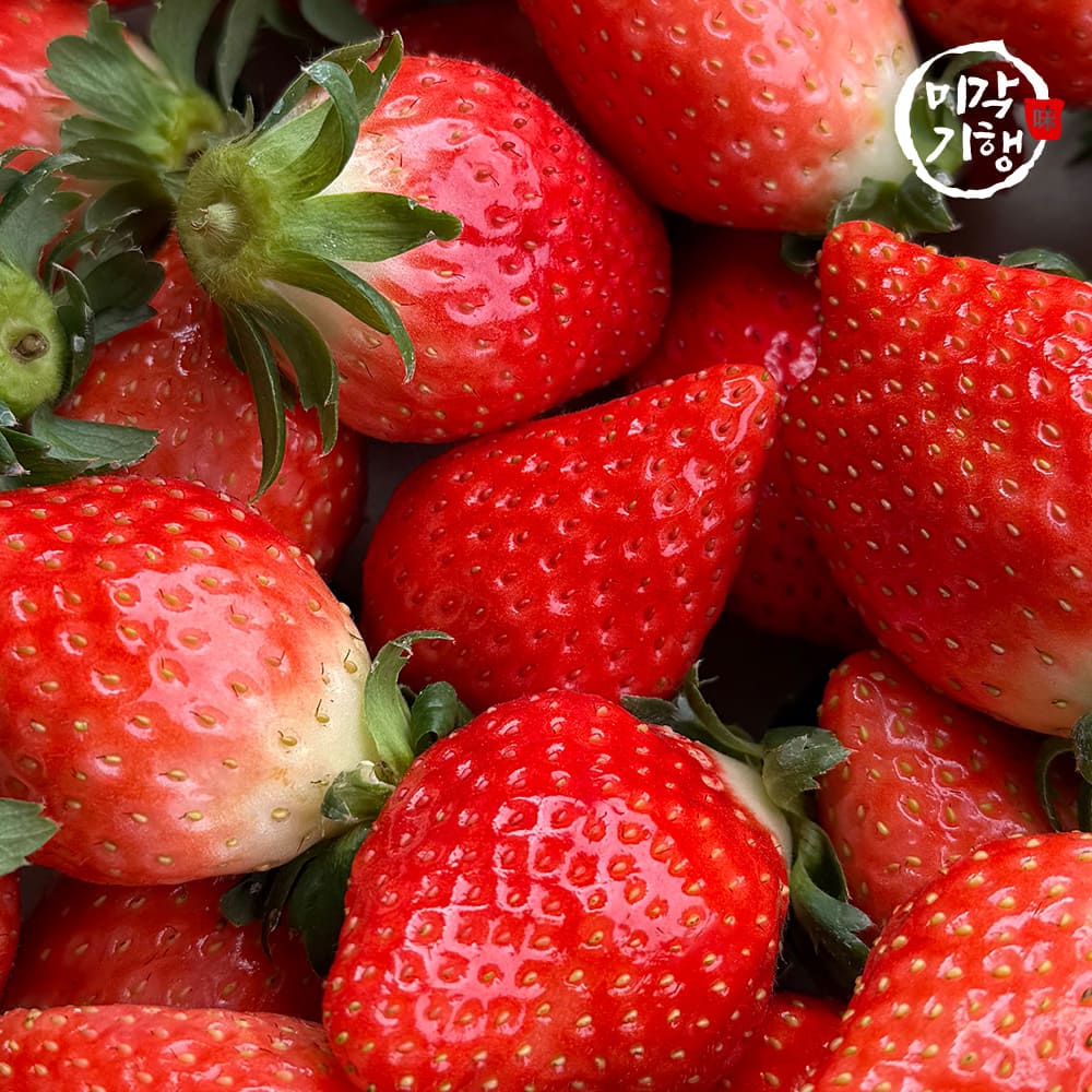 1768804124 thumbnail