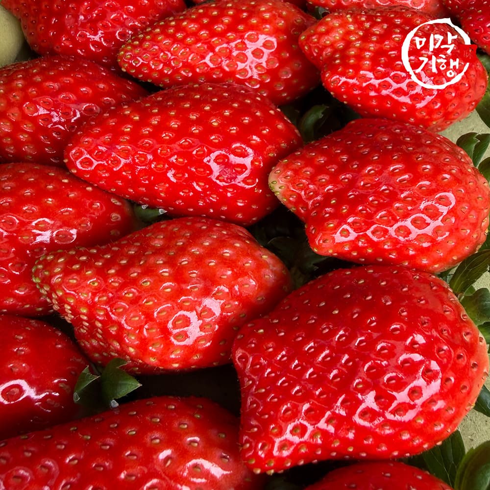 1768804125 thumbnail