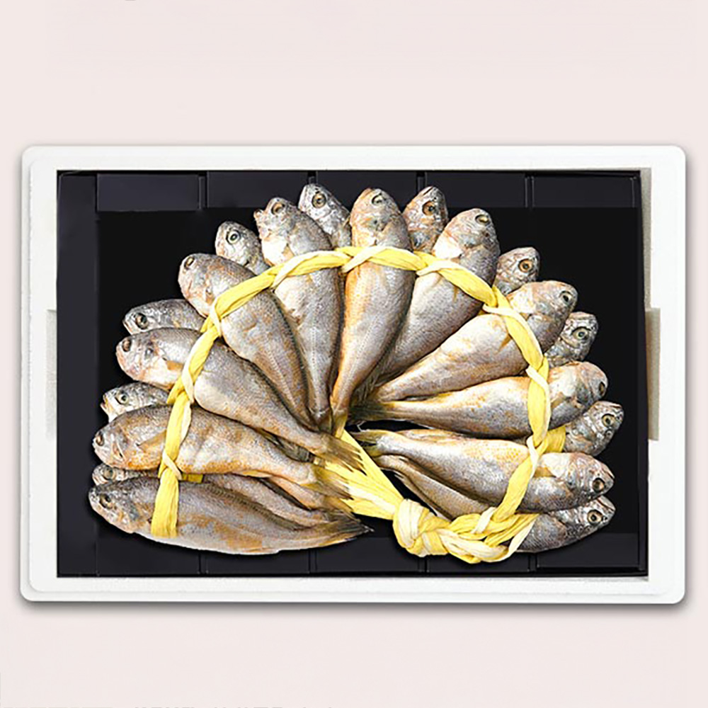 1768809168 thumbnail