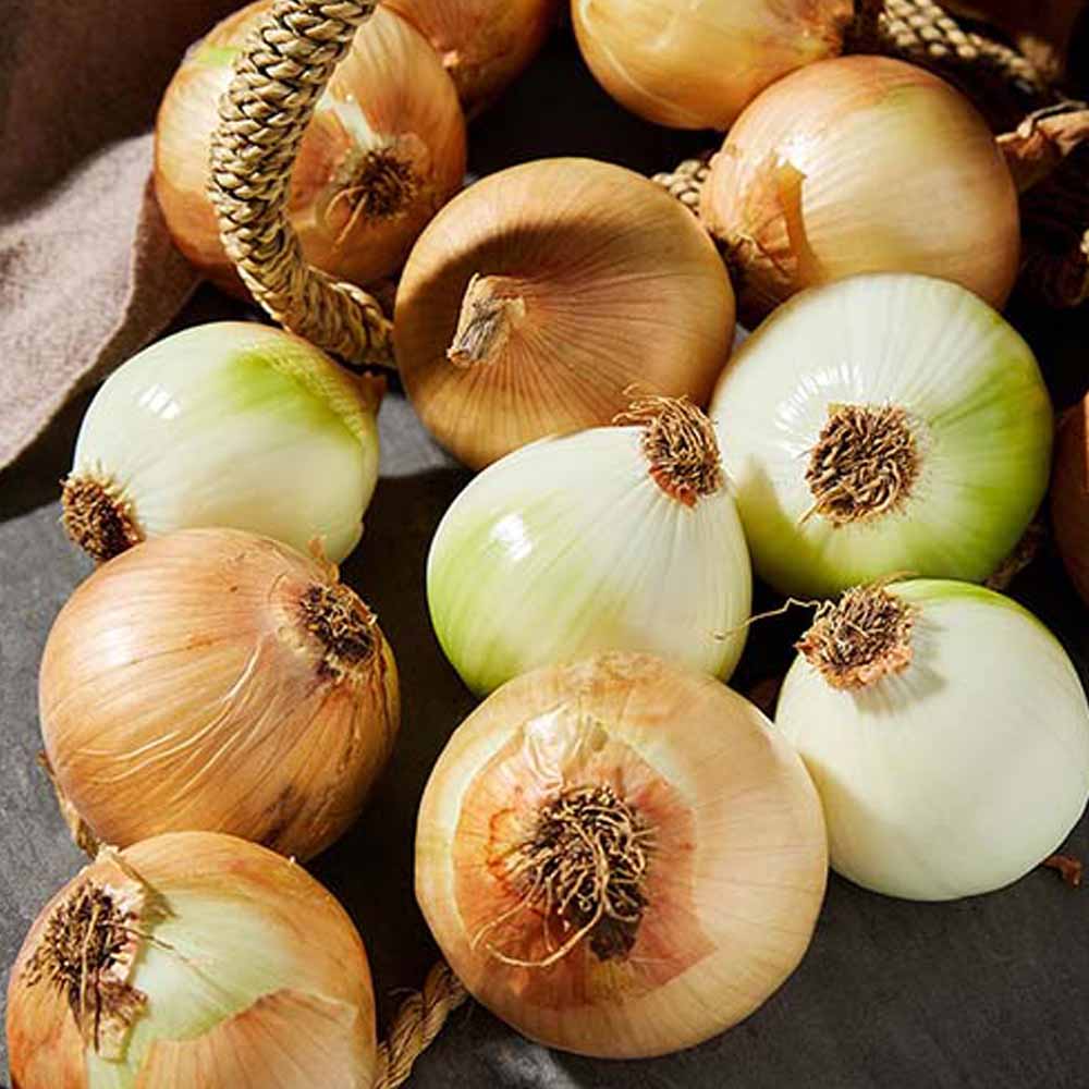 1769049010 thumbnail