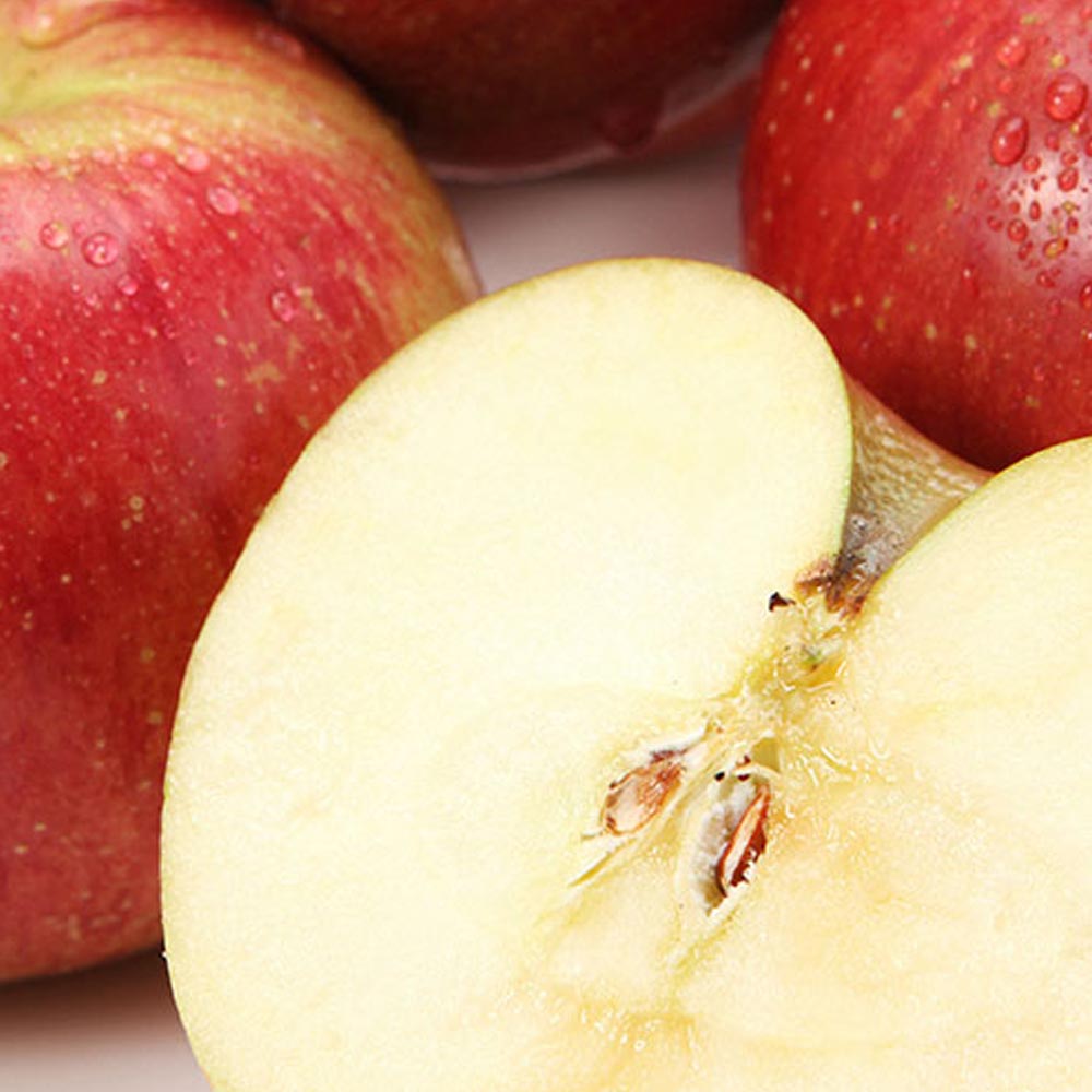 1769049011 thumbnail