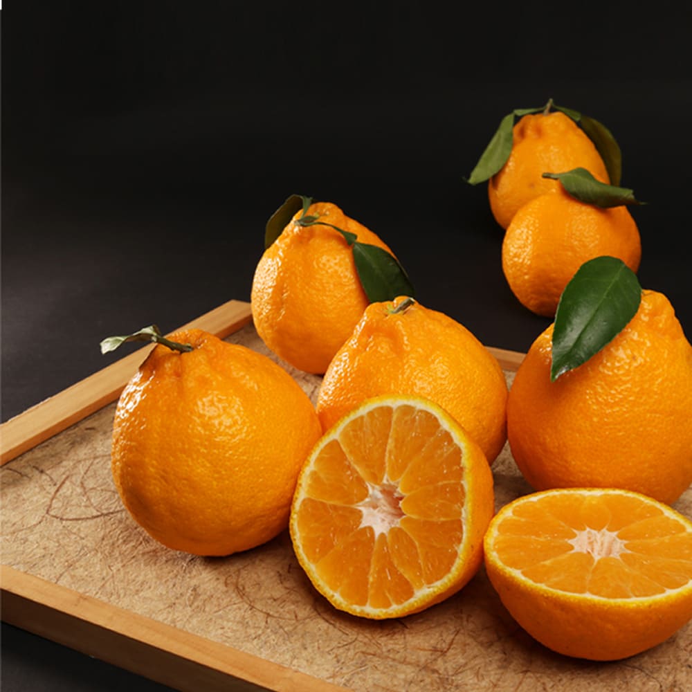 1769070170 thumbnail