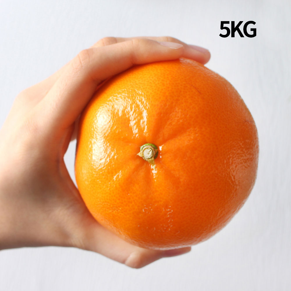 1769154713 thumbnail