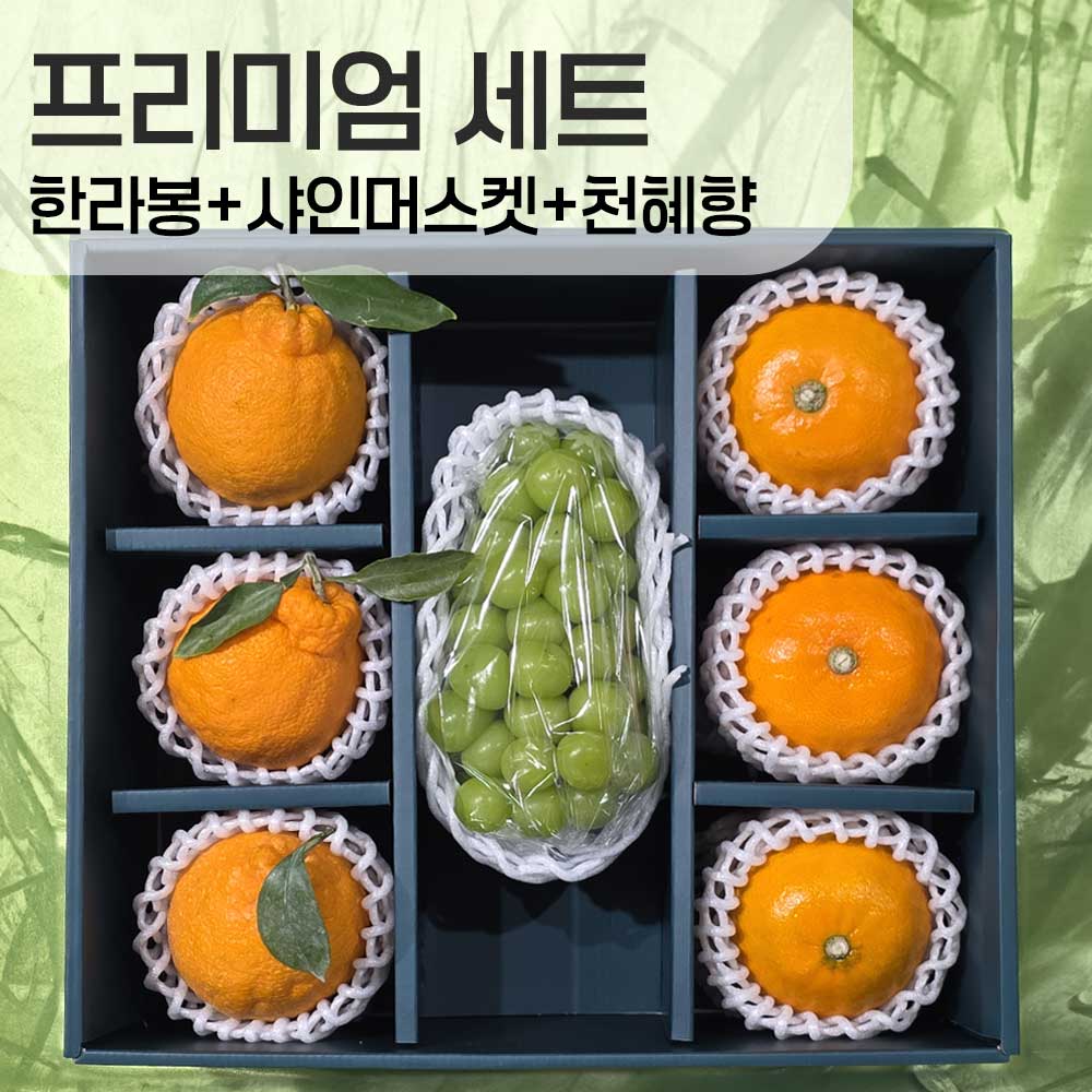 1769402679 thumbnail