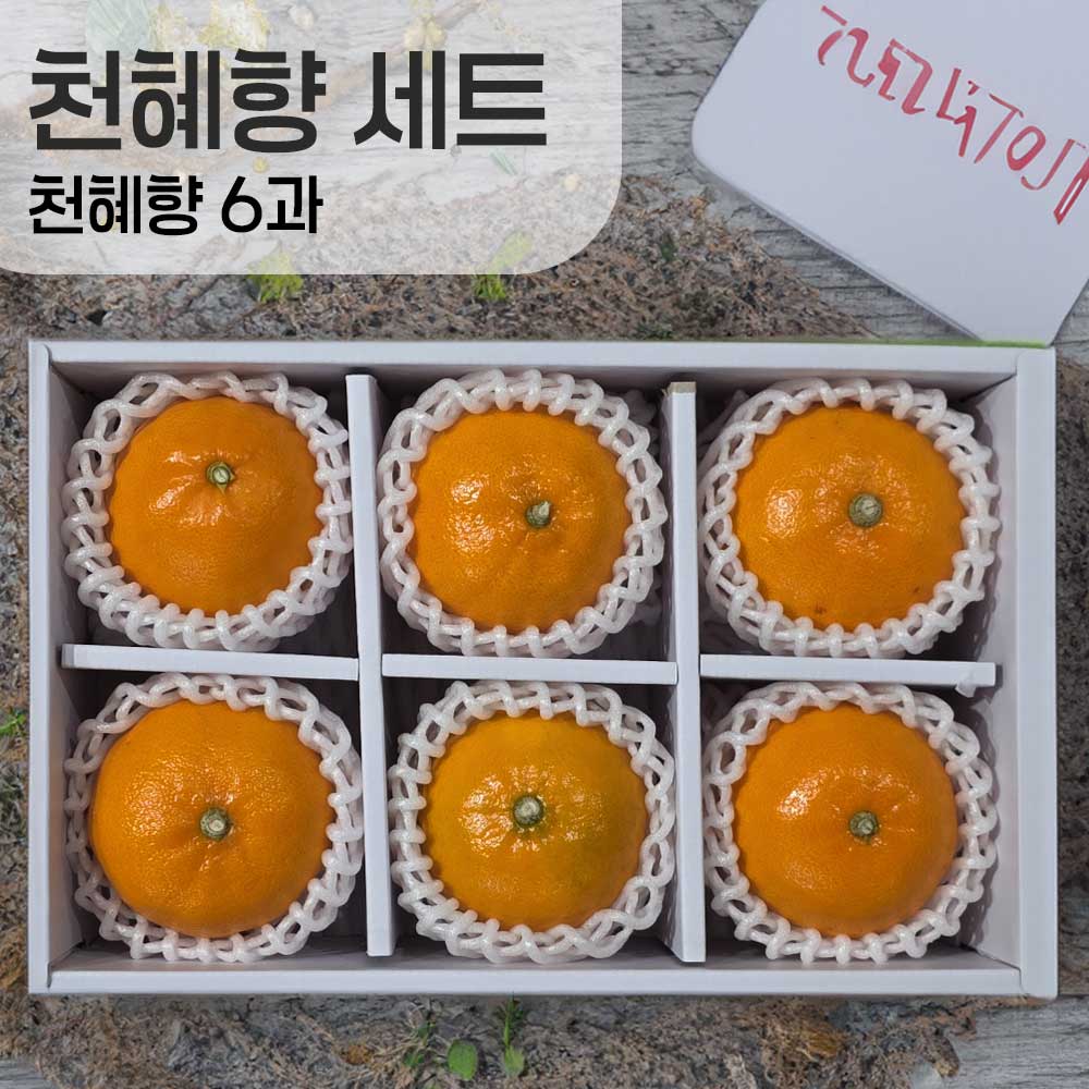 1769402681 thumbnail