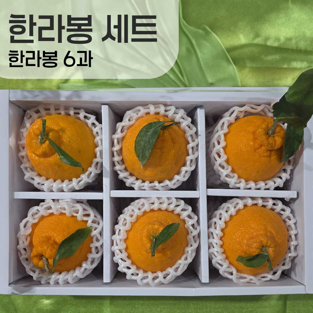 1769402682 thumbnail