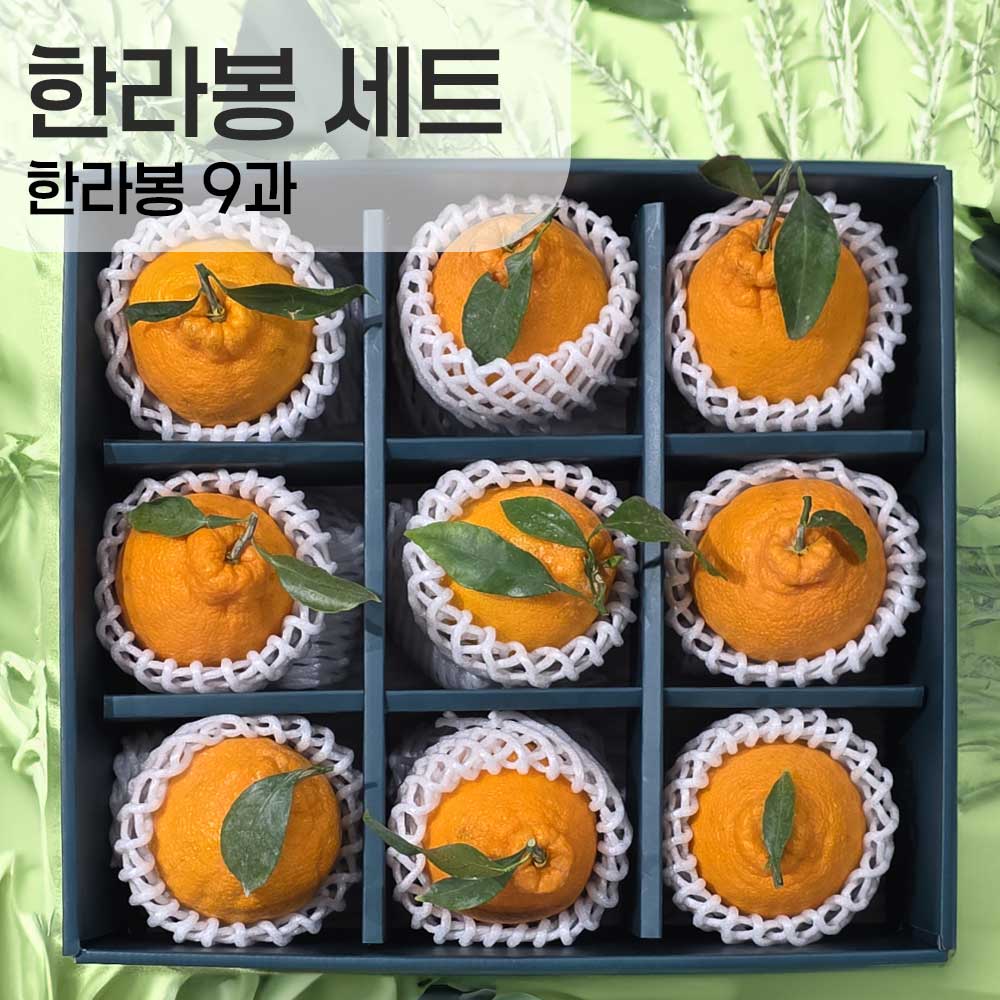 1769402683 thumbnail