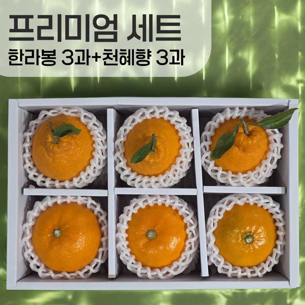 1769402684 thumbnail