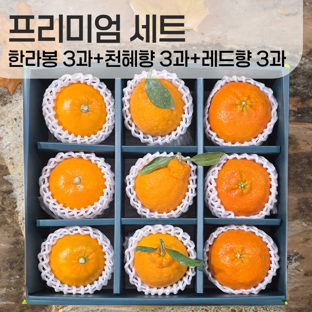 1769402685 thumbnail