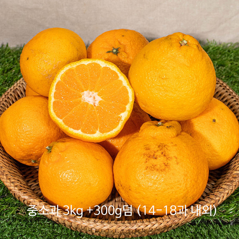 1769404199 thumbnail