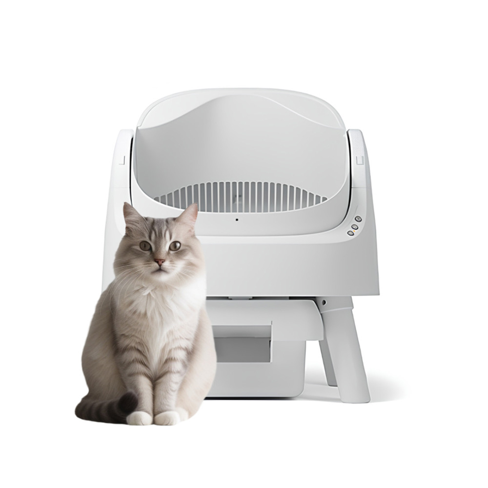 1769503372 thumbnail