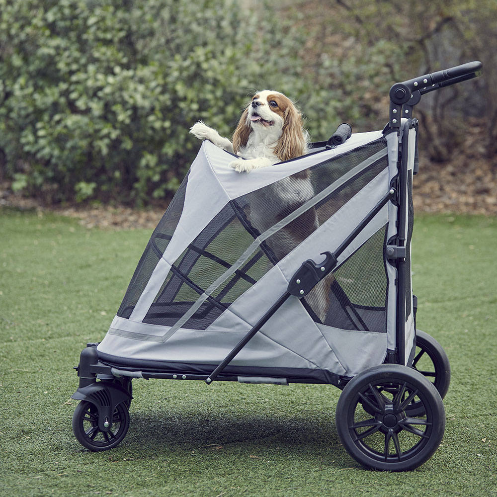 1769503373 thumbnail