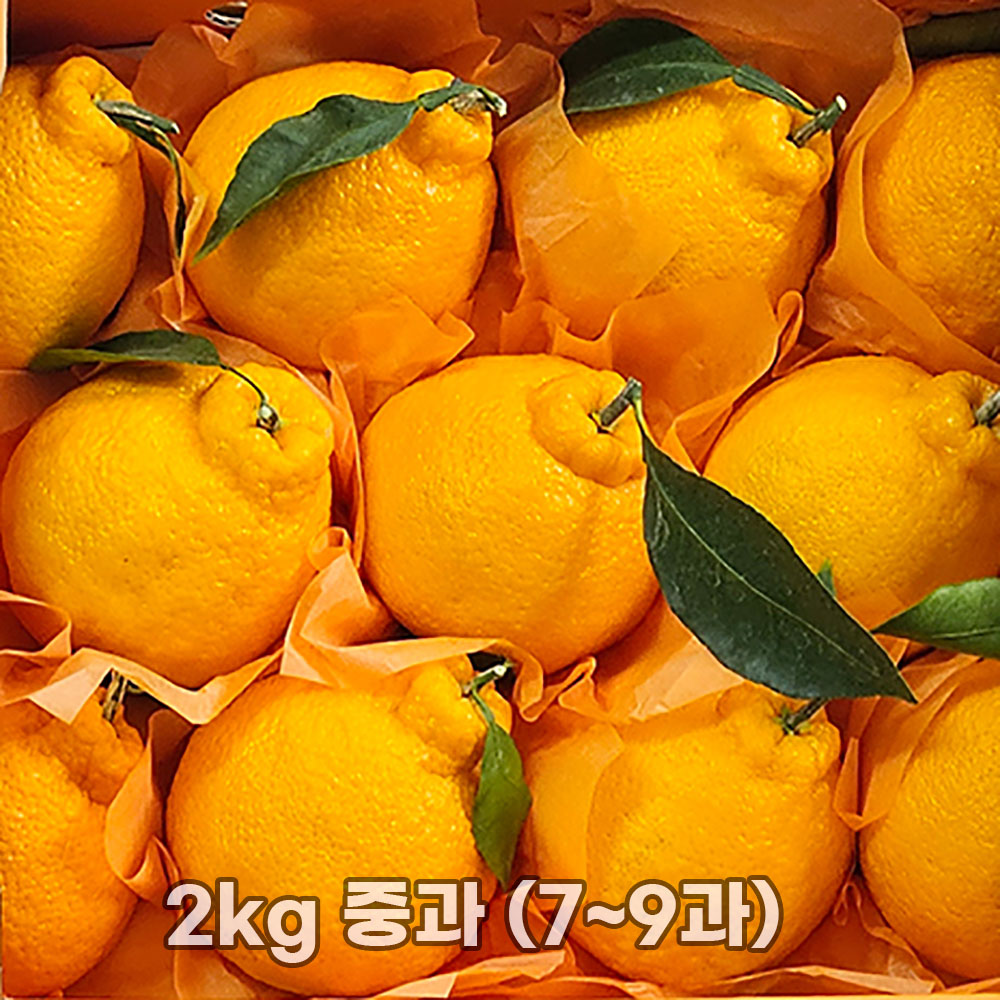 1769588951 thumbnail