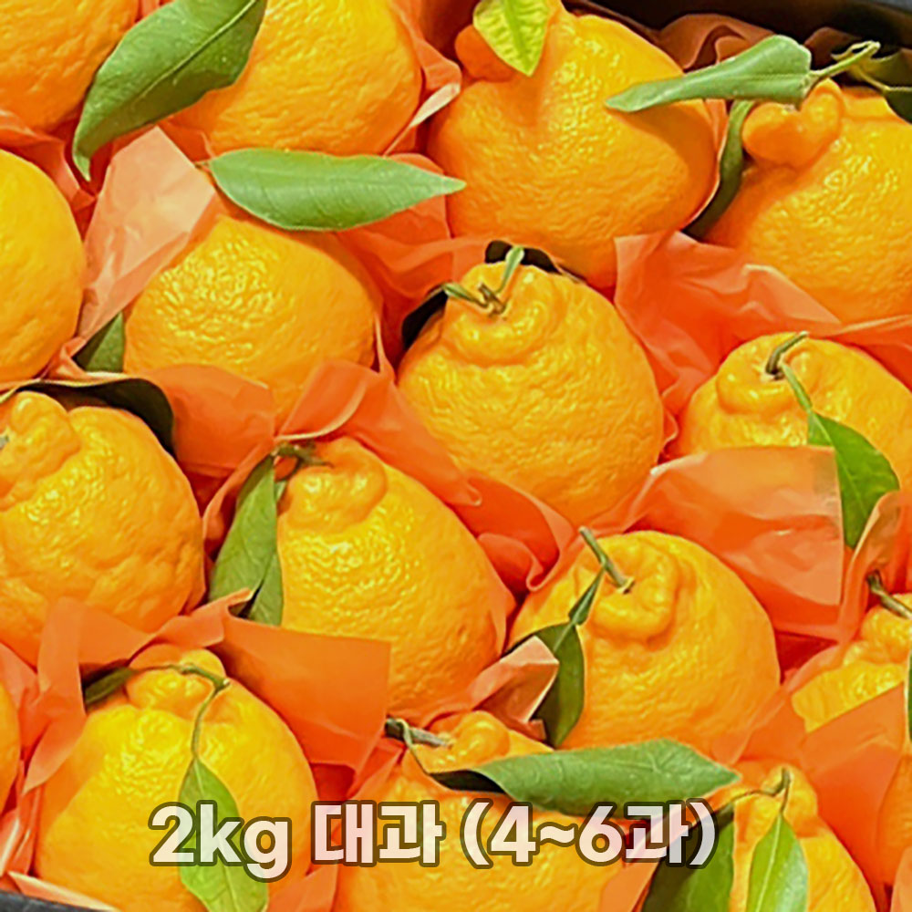 1769588952 thumbnail