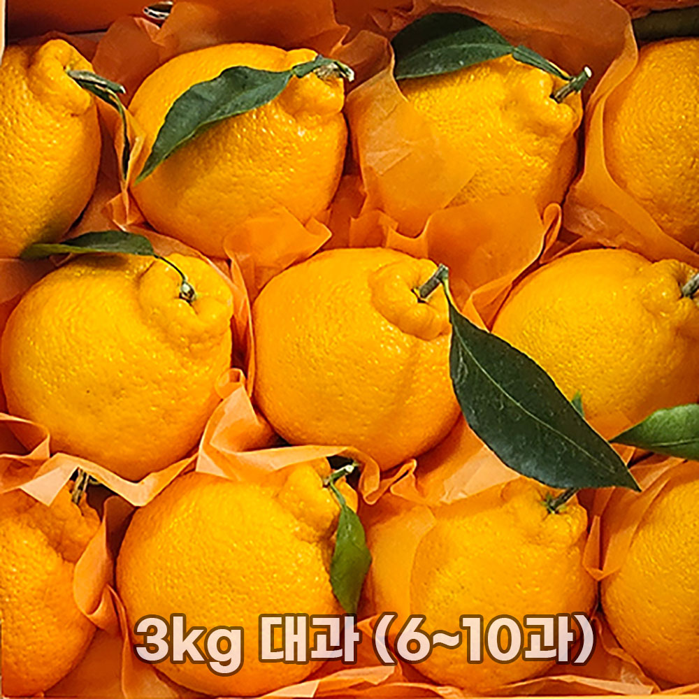 1769588955 thumbnail