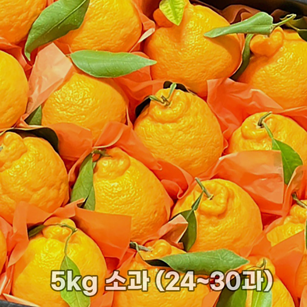 1769588956 thumbnail