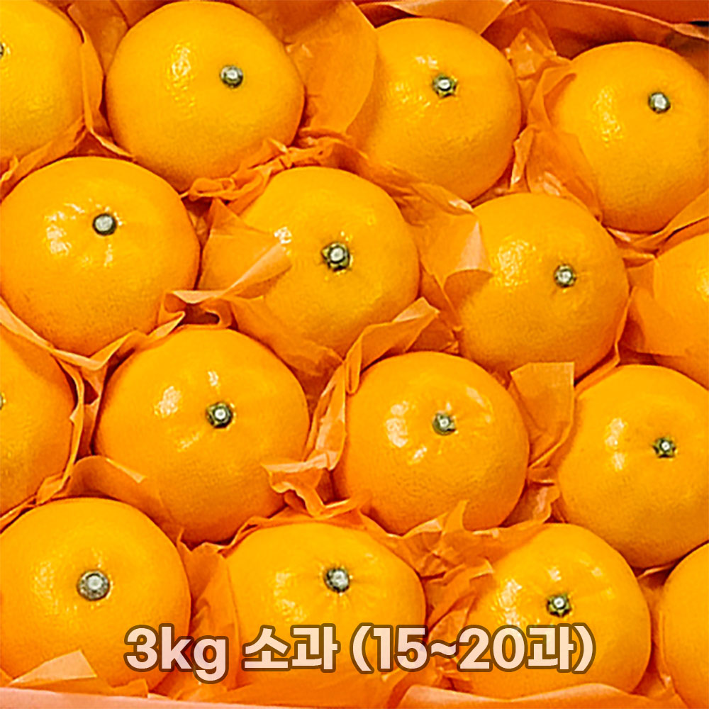 1769588962 thumbnail