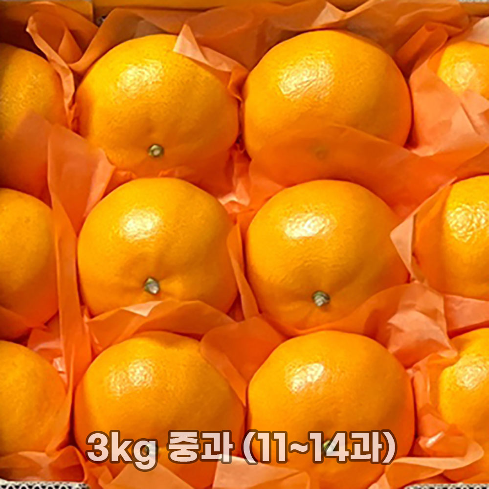 1769588963 thumbnail