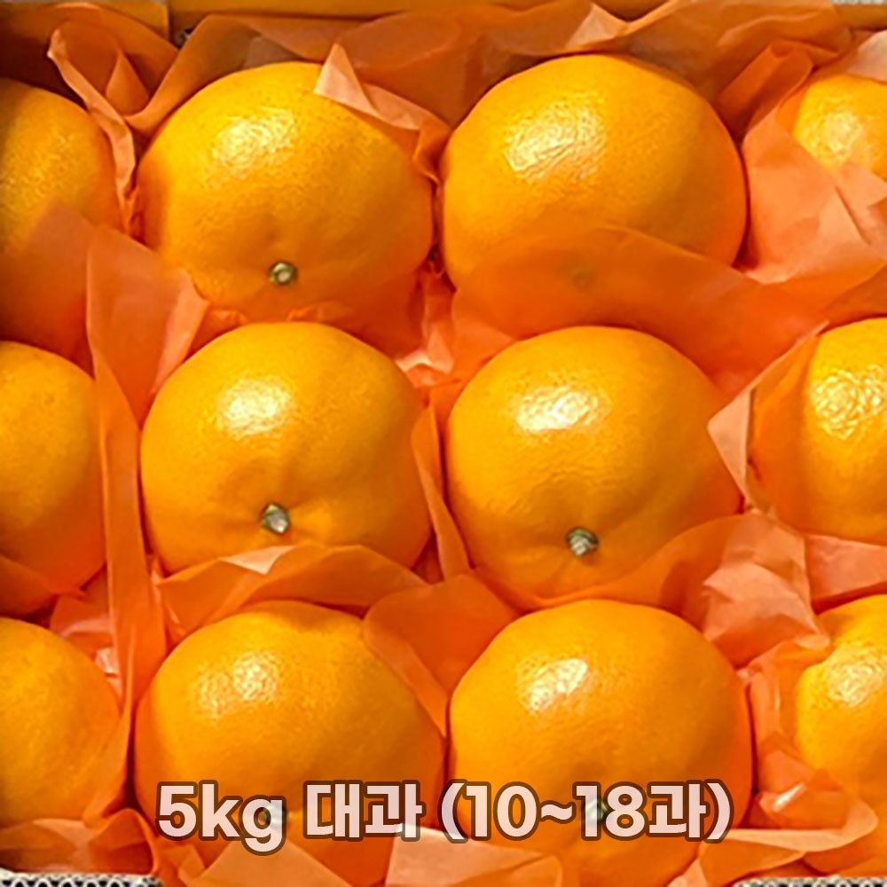 1769588967 thumbnail