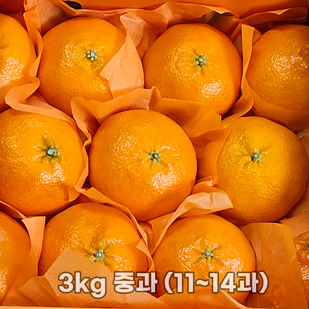 1769588972 thumbnail