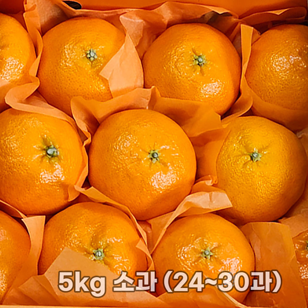 1769588974 thumbnail