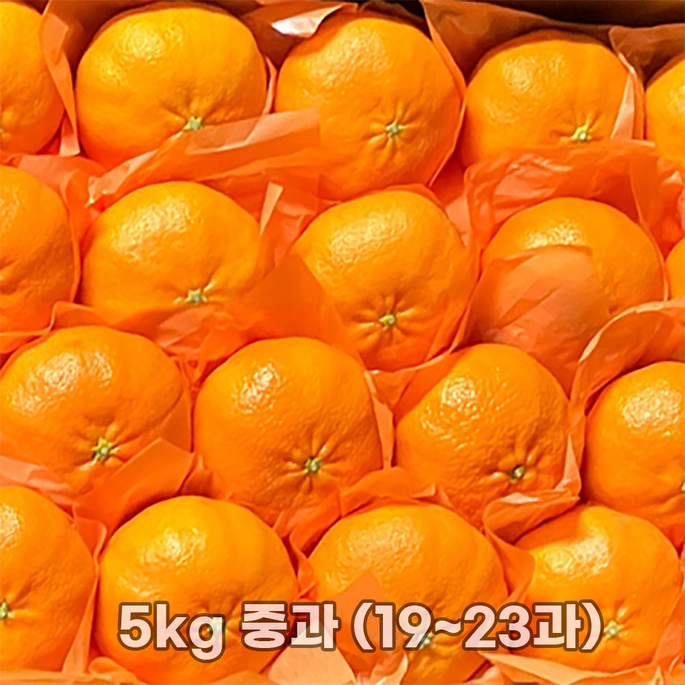 1769588975 thumbnail