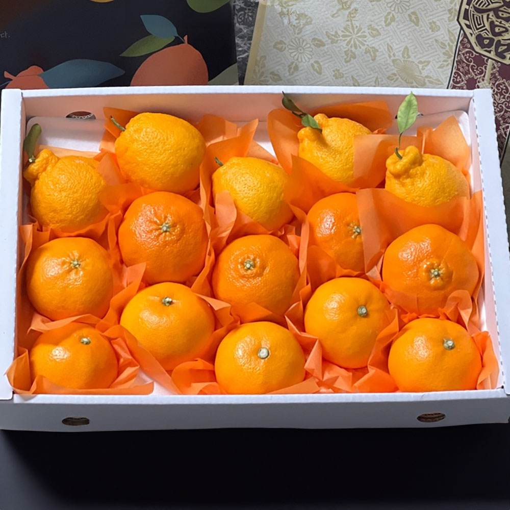 1769588990 thumbnail