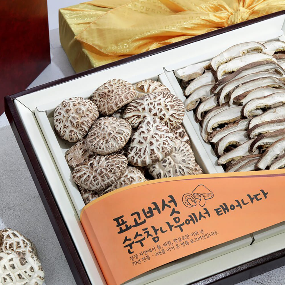 1769589005 thumbnail