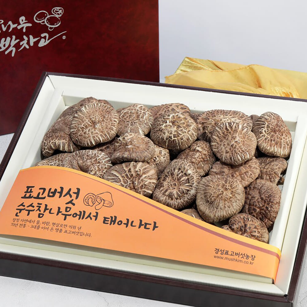 1769589007 thumbnail