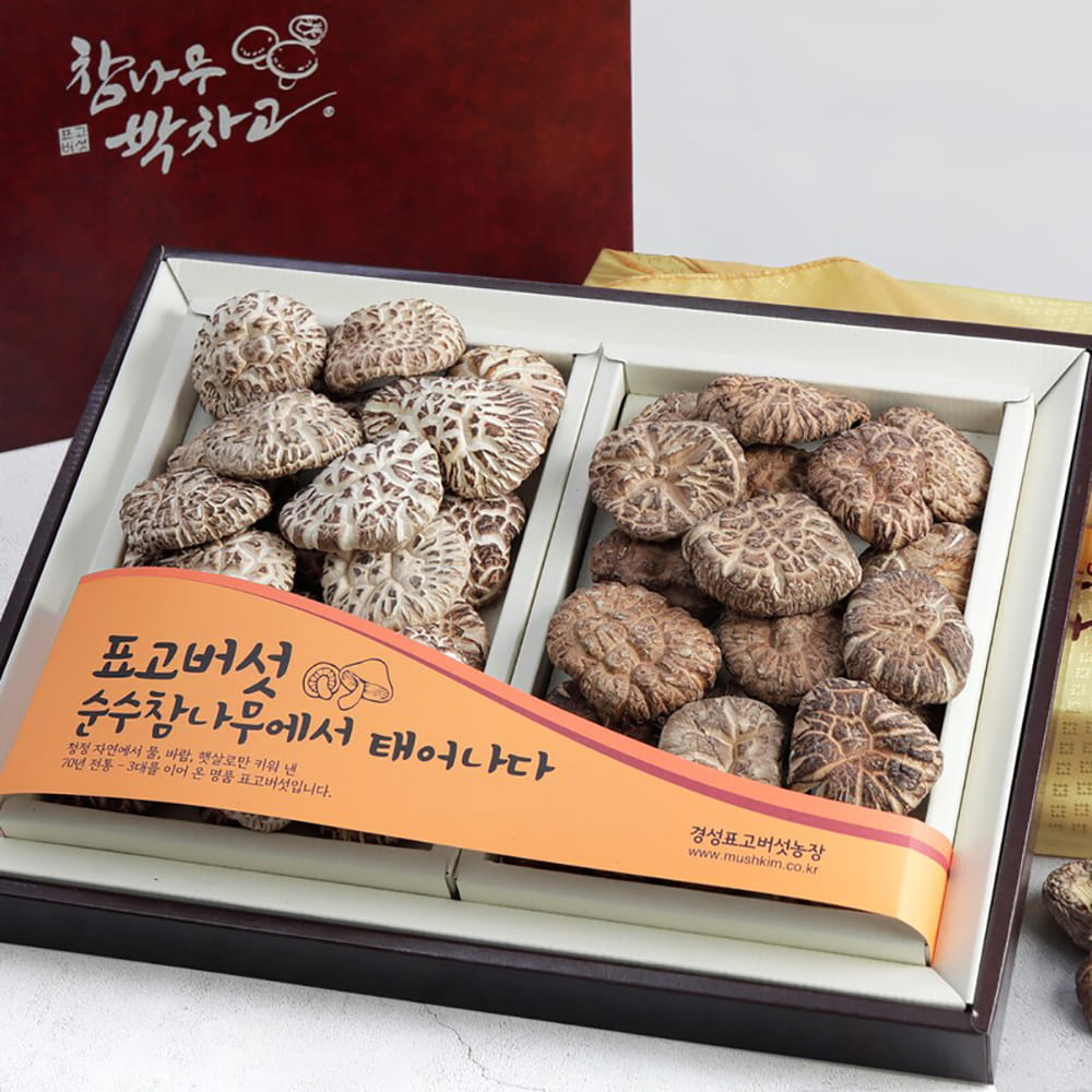 1769589009 thumbnail