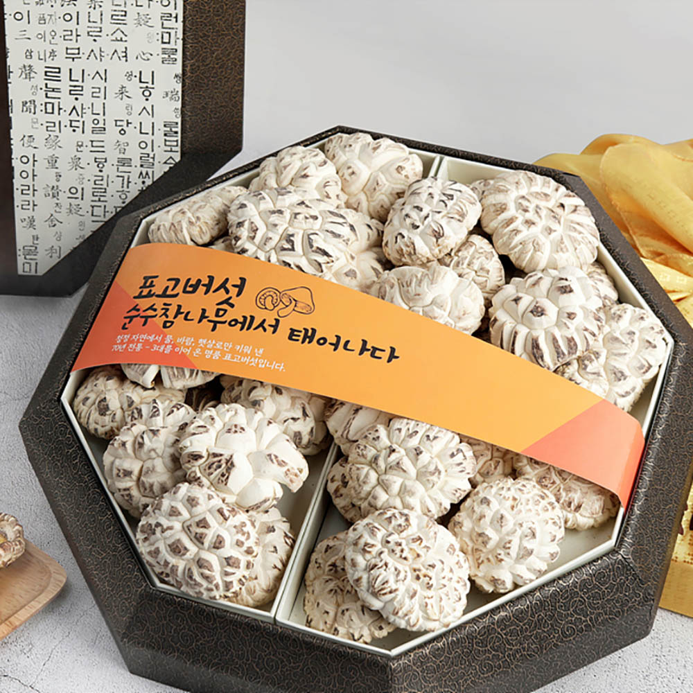 1769589013 thumbnail