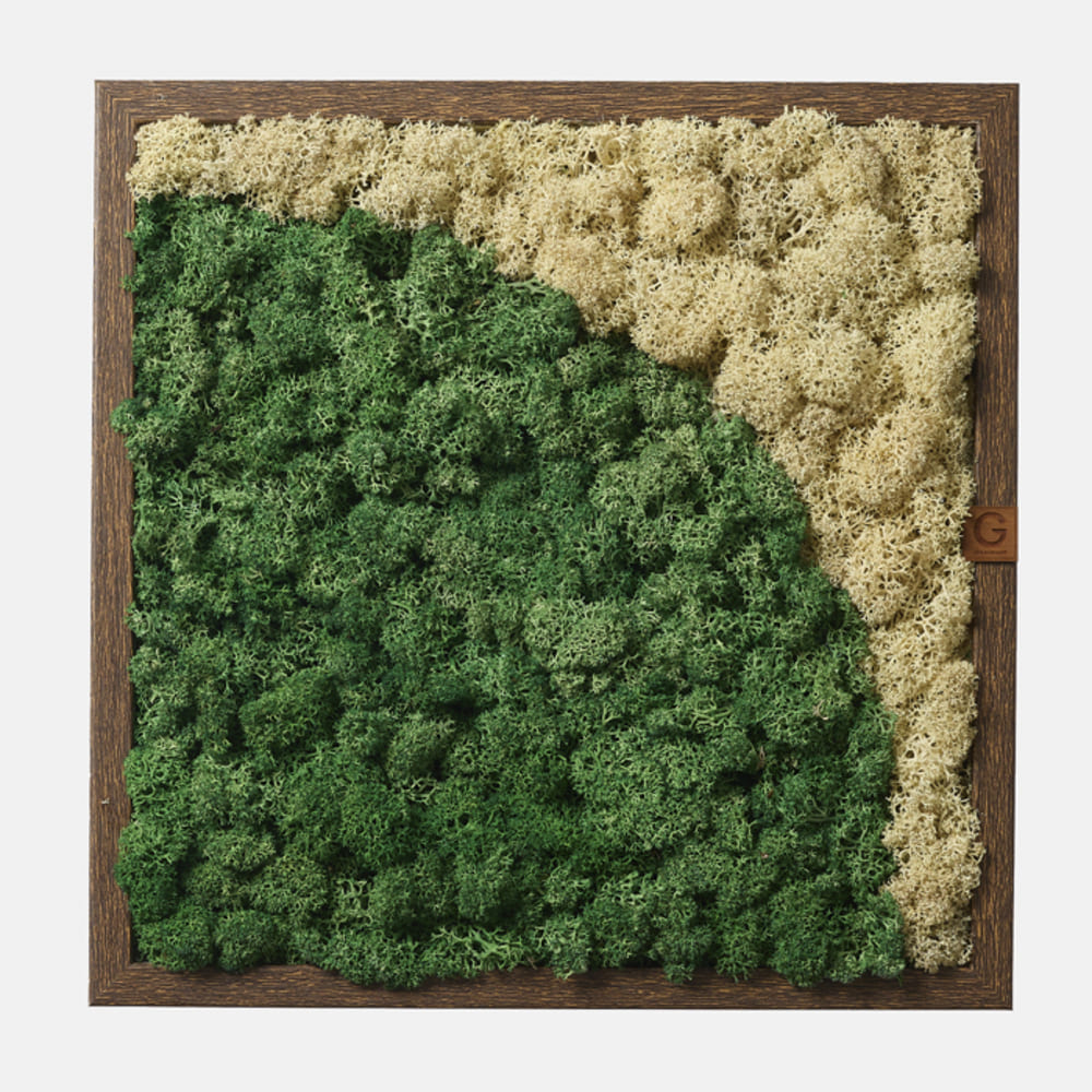 1769589023 thumbnail