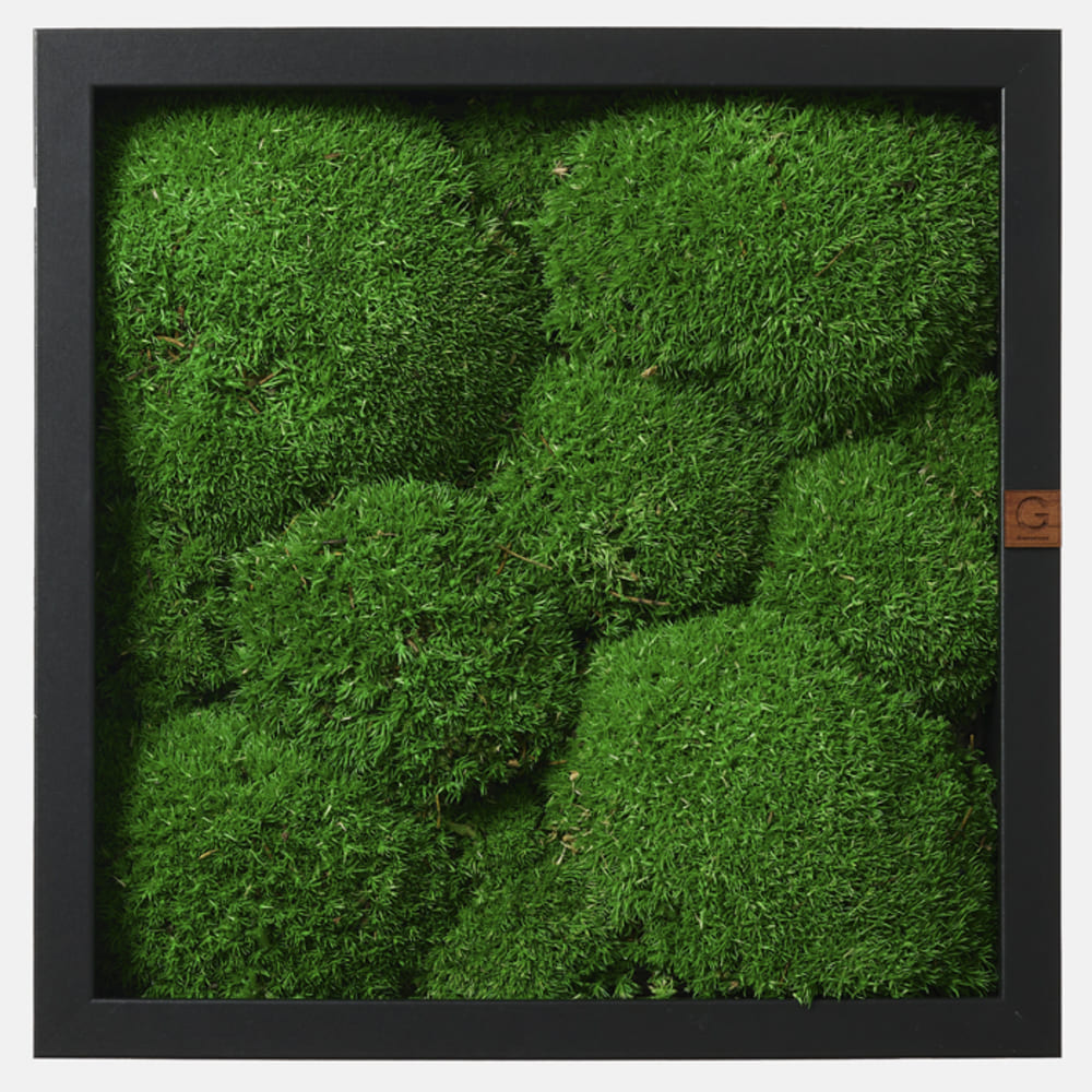 1769589024 thumbnail