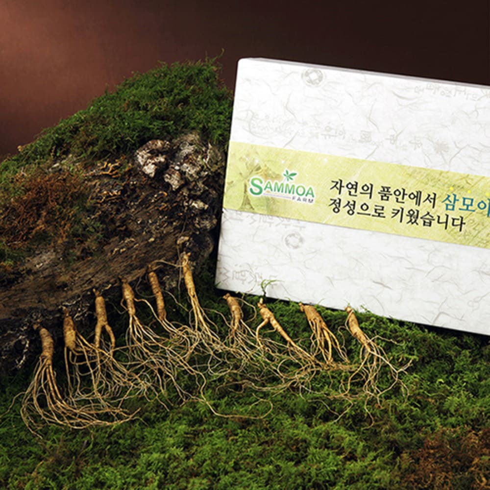 1769746926 thumbnail