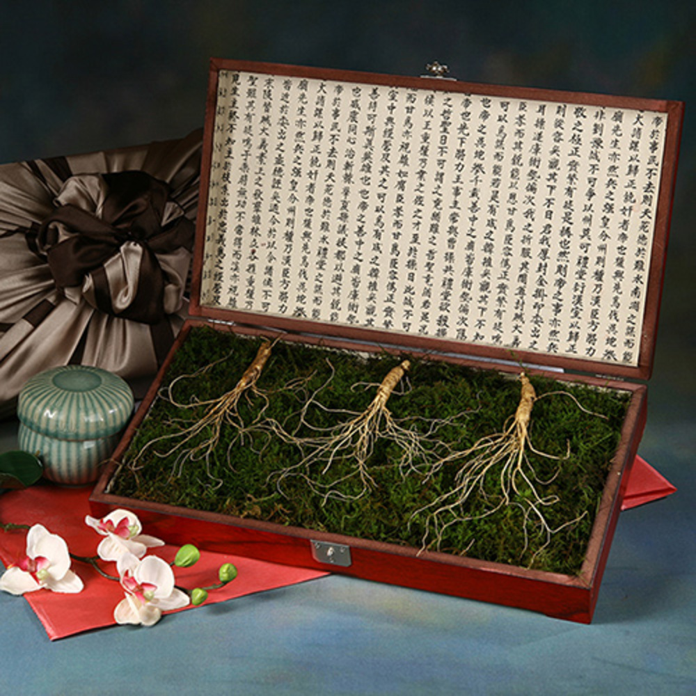 1769746934 thumbnail