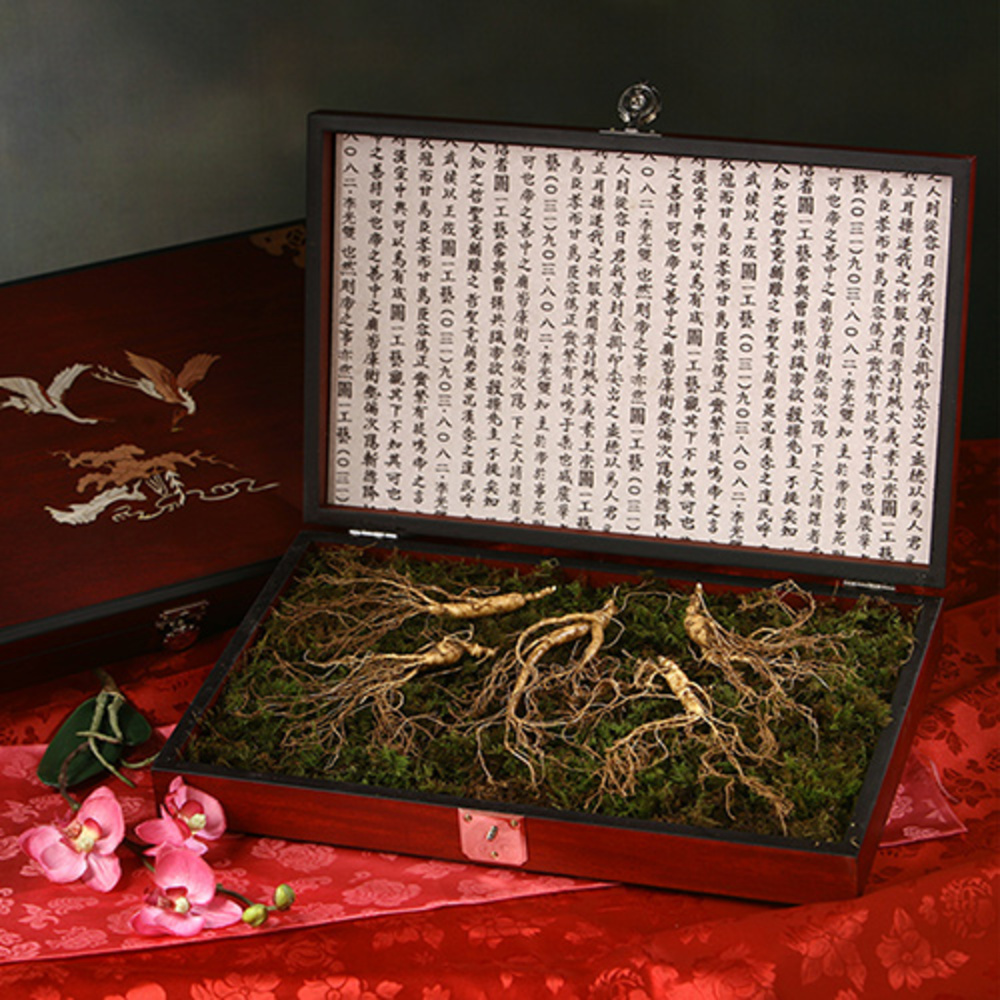 1769746939 thumbnail