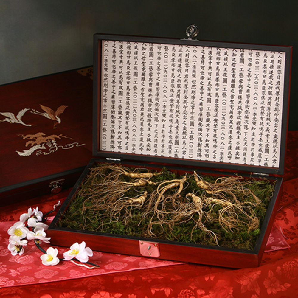 1769746940 thumbnail